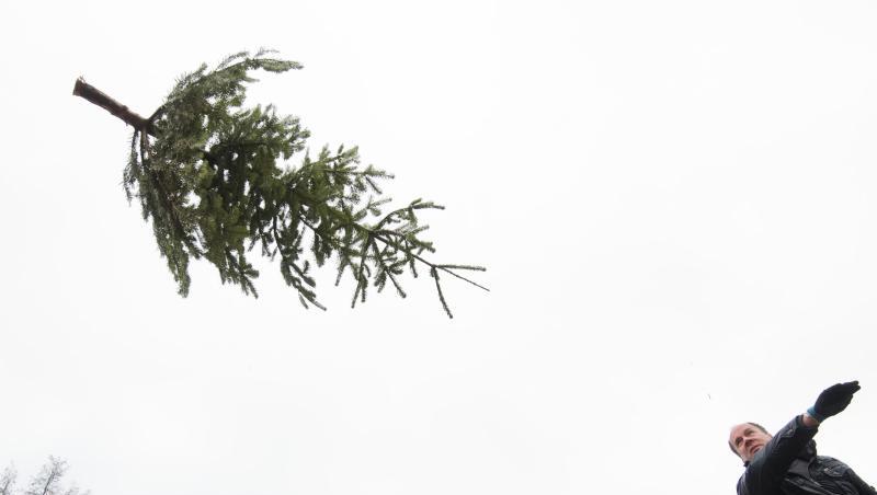 Tannenbäume können fliegen - zumindest in Peine. Tannenbäume können fliegen - zumindest in Peine.