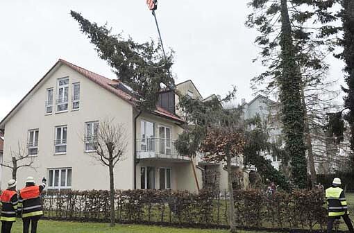 In Perlach hat der Sturm am Wochenende eine 15 Meter hohe Fichte zum Umfallen gebracht. Der Baum stürzte auf das Dach eines Mehrfamilienhauses.