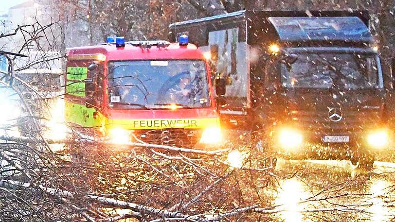 Auf der Rosenheimer Straße kurz vor der Auffahrt auf die A8 stürzten mehrere Bäume auf die Fahrbahn. Die Freiwillige Feuerwehr aus Perlach beseitigte die Hindernisse.