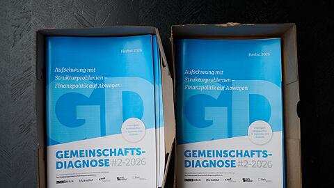 Die Gemeinschaftsdiagnose wird im Fr&uuml;hjahr und im Herbst von Wirtschaftsforschungsinstituten ver&ouml;ffentlicht.