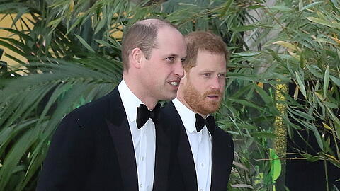 Prinz Harry (r.) und Prinz William mussten schon viel gemeinsam durchstehen