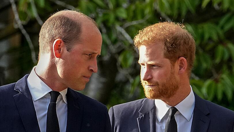 Prinz William und Prinz Harry stehen sich nicht mehr sehr nahe.