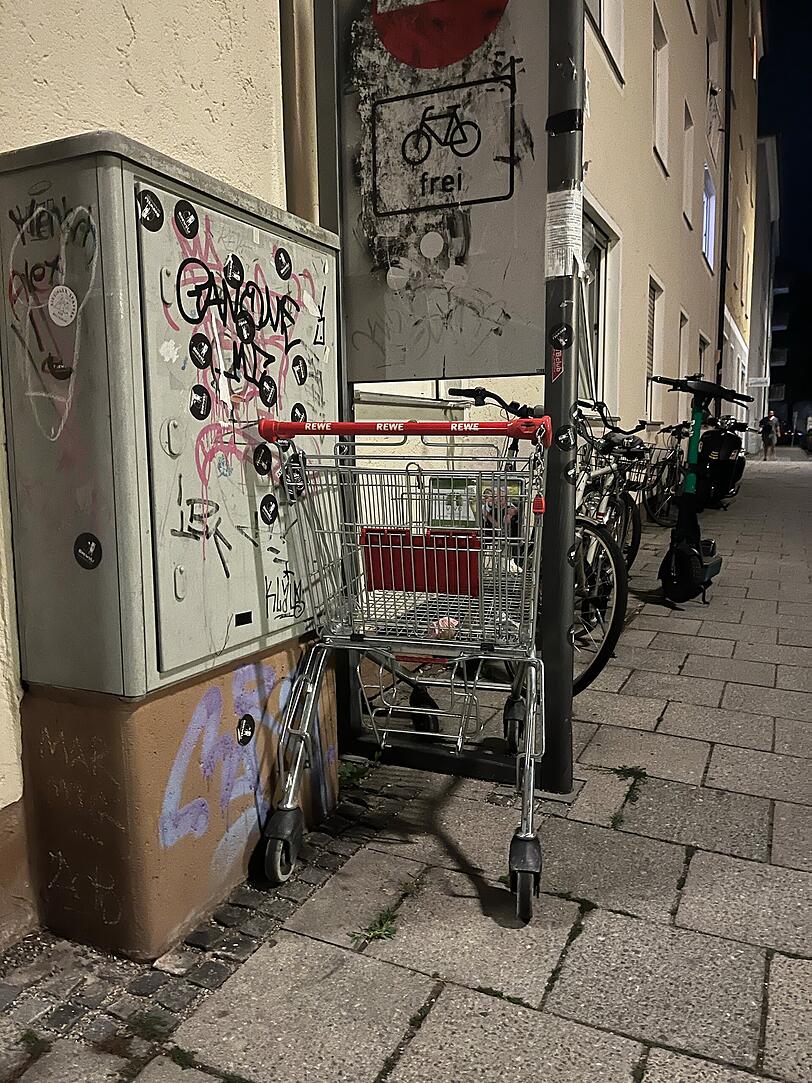 Momentaufnahme 3: Ein in Untergiesing gestrandeter Einkaufswagen. Momentaufnahme 3: Ein in Untergiesing gestrandeter Einkaufswagen.