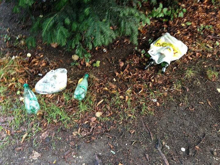 Plastikflaschen und andere Müll landen im Gebüsch - illegal.