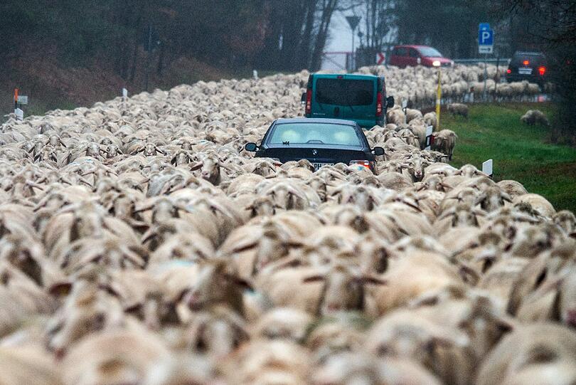 Freude, Trauer, Schmerz und Stille: Weitere Motive des Jahres 2015, die uns zum Teil für lange Zeit in Erinnerung bleiben werden.