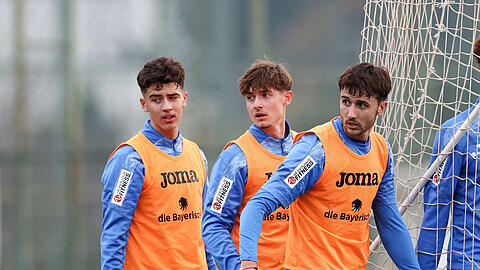 Jungl&ouml;wen auf dem Sprung: Loris Husic, Noah Klose und Damjan Dordan (v.l.).