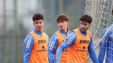 Jungl&ouml;wen auf dem Sprung: Loris Husic, Noah Klose und Damjan Dordan (v.l.).