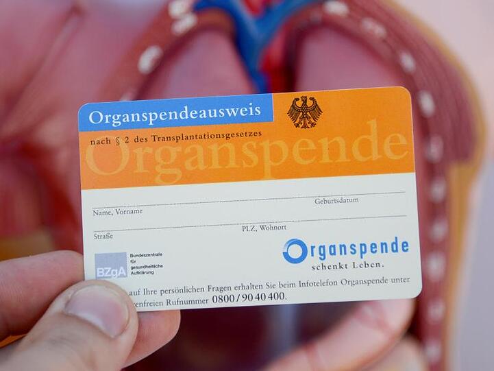 Ein Mann hält einen Organspendeausweis in der Hand. Foto: Daniel Maurer/dpa/Archiv/Symbolbild