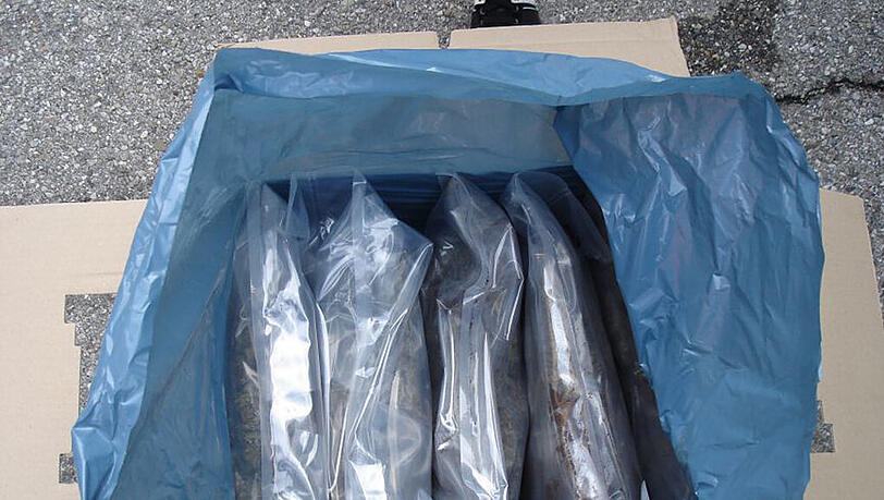 Fein eingeschichtet waren die Tüten in den Kartons verpackt. Fein eingeschichtet waren die Tüten in den Kartons verpackt.