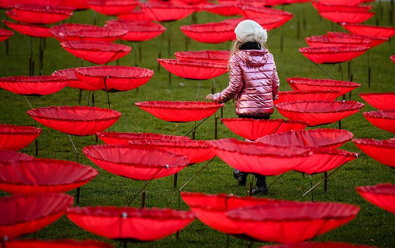 Zahlreiche riesige Mohnblumen stehen in der Kunstinstallation "Never again" am Königsplatz in München.