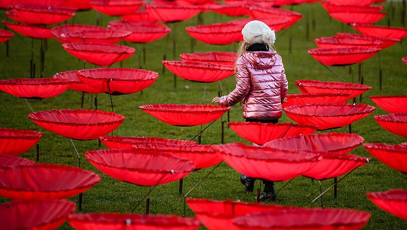Zahlreiche riesige Mohnblumen stehen in der Kunstinstallation "Never again" am Königsplatz in München. Zahlreiche riesige Mohnblumen stehen in der Kunstinstallation "Never again" am Königsplatz in München.