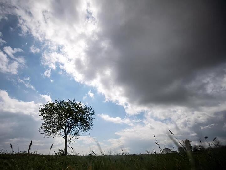 Dunkle Wolken ziehen am Himmel über einen Baum hinweg. Foto: Sina Schuldt/dpa/Symbolbild