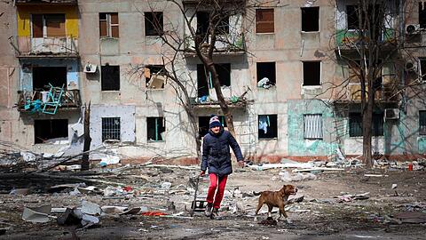 Ein Mann und sein Hund inmitten der Zerstörung am Stadtrand von Mariupol.