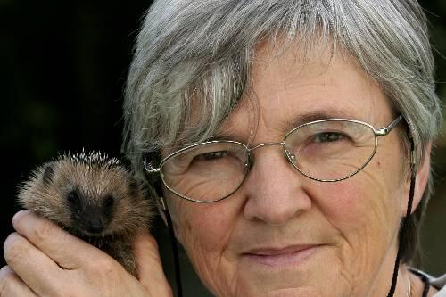 Annemarie Eckl (62) hilft den Igeln.