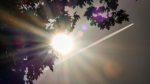 Die Sonne schaut hinter einer Baumkrone hervor. (Archivbild)
