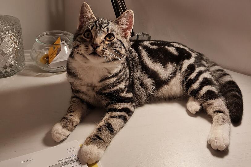 Henri
