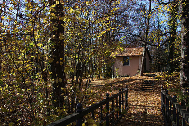 Die Flora und Fauna im Klostergarten, der zum Magdalenenpark werden wird, ist ein "wahrer Schatz", findet der Bund Naturschutz. Die Flora und Fauna im Klostergarten, der zum Magdalenenpark werden wird, ist ein "wahrer Schatz", findet der Bund Naturschutz.