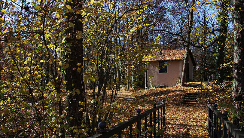 Die Flora und Fauna im Klostergarten, der zum Magdalenenpark werden wird, ist ein "wahrer Schatz", findet der Bund Naturschutz.