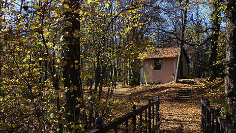Die Flora und Fauna im Klostergarten, der zum Magdalenenpark werden wird, ist ein "wahrer Schatz", findet der Bund Naturschutz.