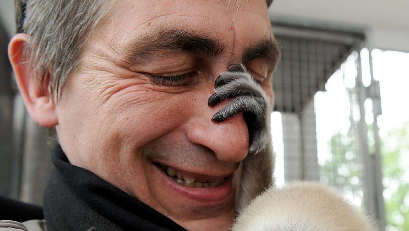 Die sechs Monate alte Tochter der Tierparkleiterin, Viktoria, und das dreieinhalb Jahre alte Gibbon-Baby Lui verstehen sich prächtig. Die sechs Monate alte Tochter der Tierparkleiterin, Viktoria, und das dreieinhalb Jahre alte Gibbon-Baby Lui verstehen sich prächtig.