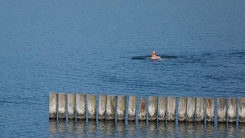 Viele Menschen dürften an diesem Wochenende Abkühlung suchen - so wie dieser Schwimmer am Markkleeberger See bei Leipzig.