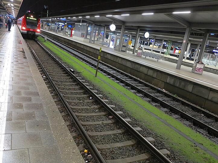 ... zieht sich zwischen den Gleisen 4 und 5 b, hat AZ-Leser Djordje Matkovic beobachtet.