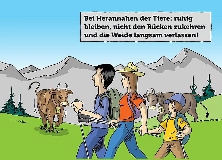 Zum Durchklicken: die Tipps aus dem Folder "Eine Alm ist kein Streichelzoo" der Tiroler Landwirtschaftskammer.