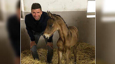 Diese Foto veröffentlichte Thomas Müller vom neugeborenen Fohlen.