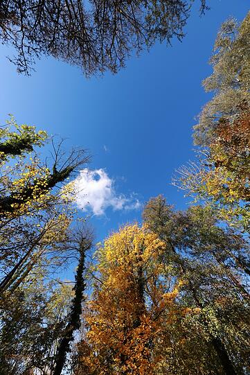 Herbst ist die schönste Jahreszeit – hier ist der beste Beweis.