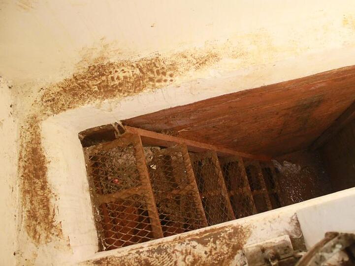 Weg nach draußen: Dieser Fluchttunnel befand sich in einer Fluchtwohnung von "El Chapo" im mexikanischen Bundesstaat Sinaloa.
