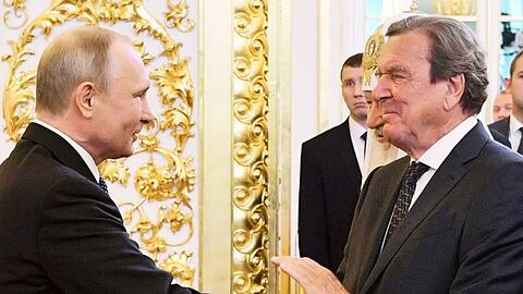 Putin und Schr&ouml;der gelten als langj&auml;hrige Freunde. (Archivbild)