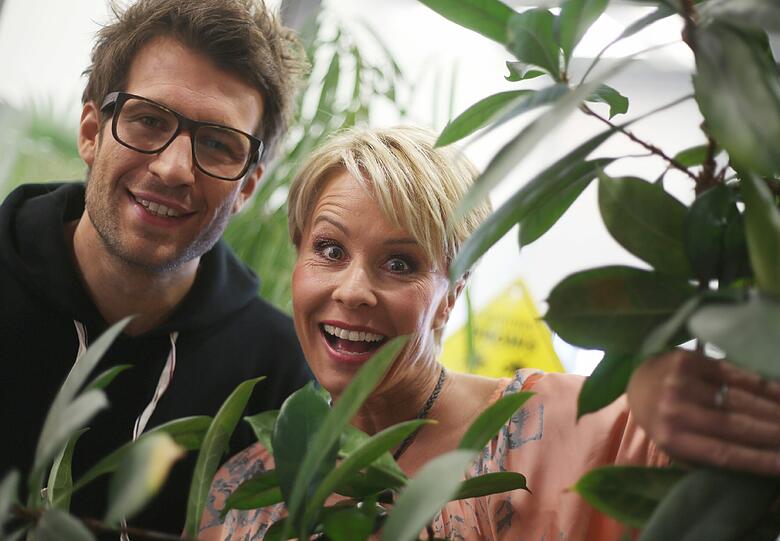 Ob live im TV oder auf Abruf bei RTL NOW: Verpassen Sie keine Fogle des Dschungelcamps.