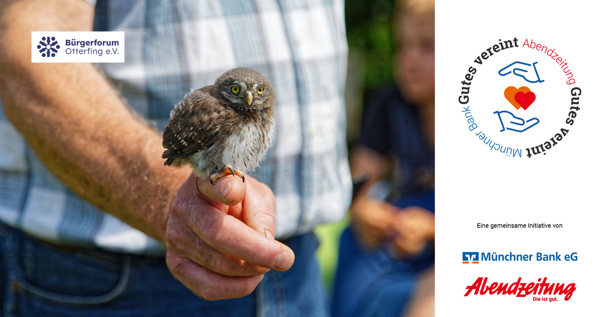 Wo-kranke-V-gel-gerettet-werden-Jetzt-f-r-das-B-rgerforum-Otterfing-e-V-spenden