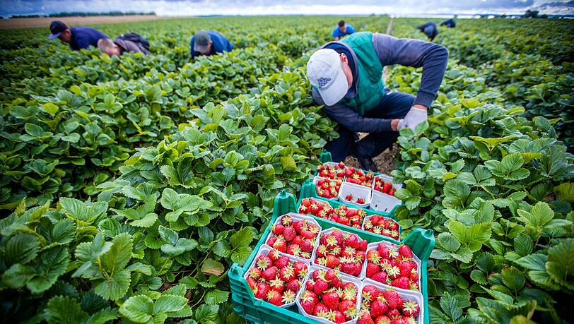 Agrarminister ohne Beschluss zum Mindestlohn. (Symbolbild)