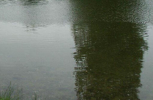 An einem Weiher an der Würm wurde ein britischer Jugendlicher bei einem Badeunfall schwer verletzt. (Symbolbild)