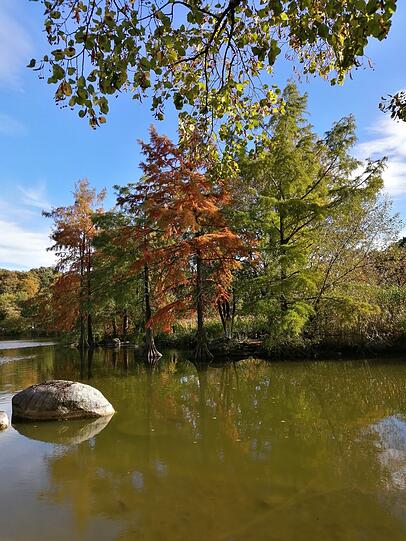 Christa Lindner war im herbstlichen Westpark unterwegs.
