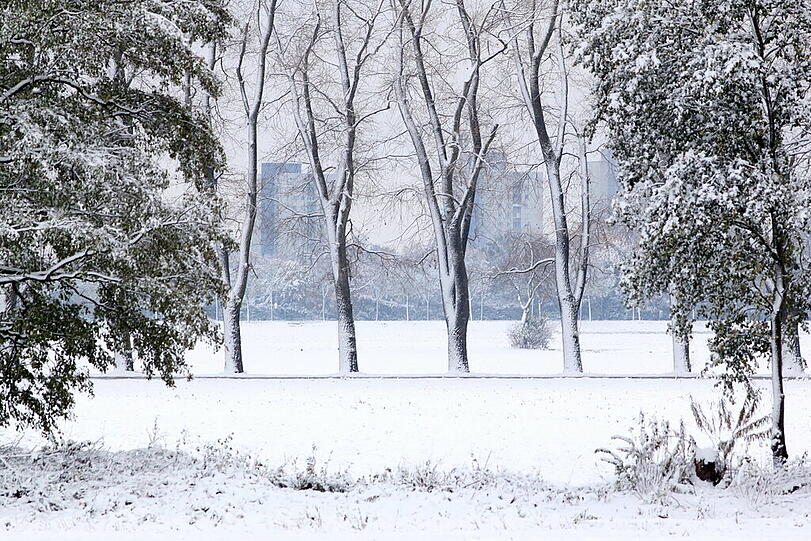 So lange ist es noch gar nicht her, da hatte der Winter das Viertel fest im Griff.