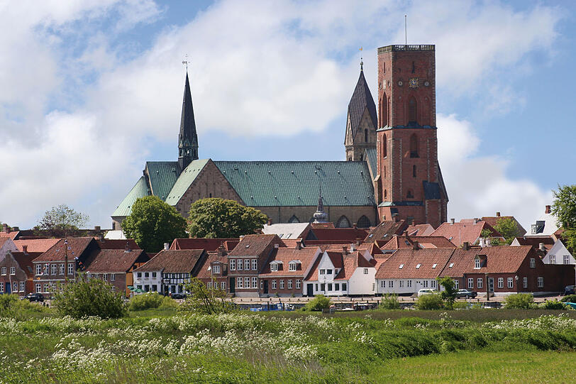 Blick auf das Zentrum von Ribe.