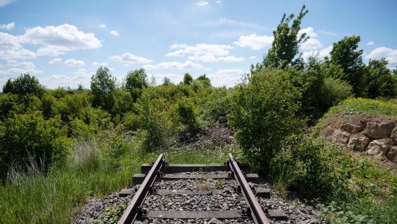 Mehr als 3000 Kilometer stillgelegte Bahnstrecken lassen sich aus Sicht von Verkehrsverbänden ohne allzu großen Aufwand reaktivieren. Mehr als 3000 Kilometer stillgelegte Bahnstrecken lassen sich aus Sicht von Verkehrsverbänden ohne allzu großen Aufwand reaktivieren.