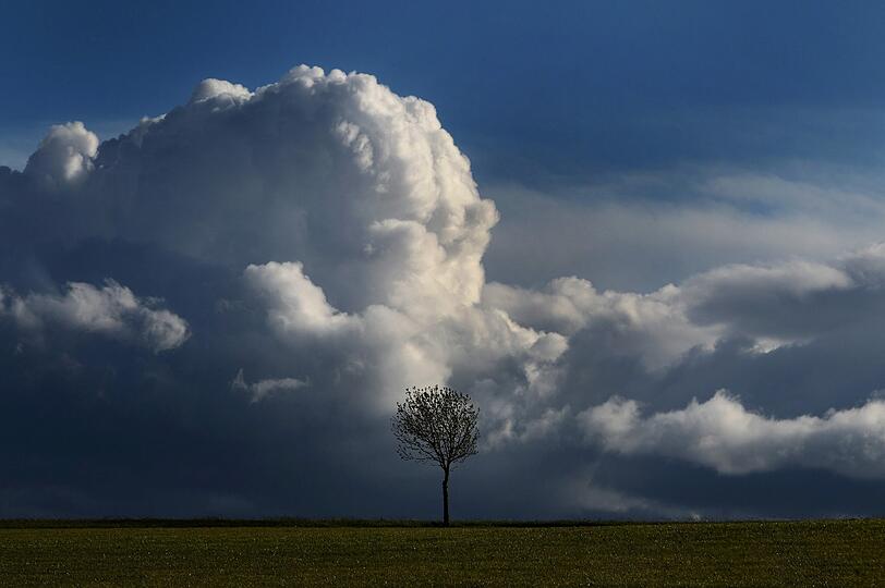 Eine riesige Wolkenwand türmt sich im bayerischen Apfeltrang hinter einem Baum auf. Seit Tagen wechseln sich in Bayern starke Regenschauer mit stellenweise blauem Himmel ab.