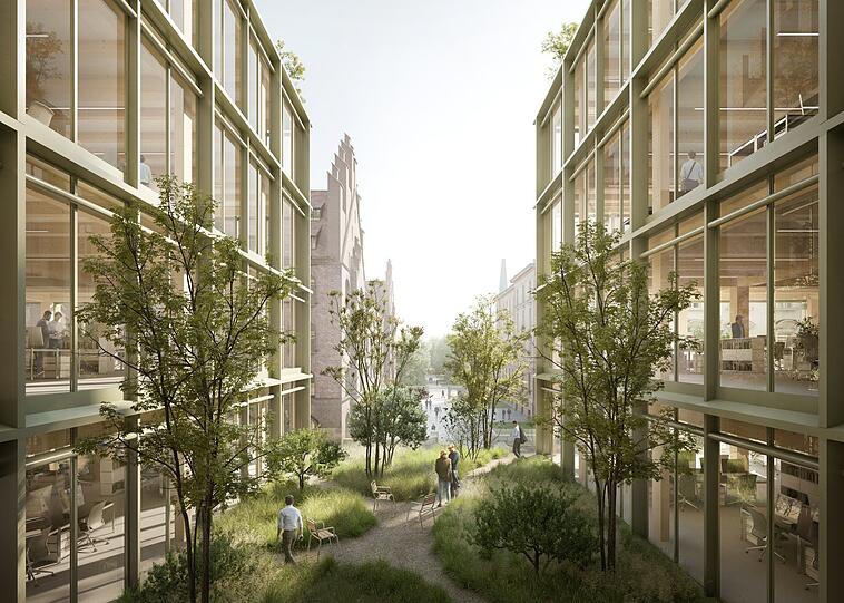 Die Höfe mit Wiesen, Bäumen und Parkbänken öffnen sich nach außen, wie hier mit Blick Richtung Norden, zum Alten Botanischen Garten hin.
