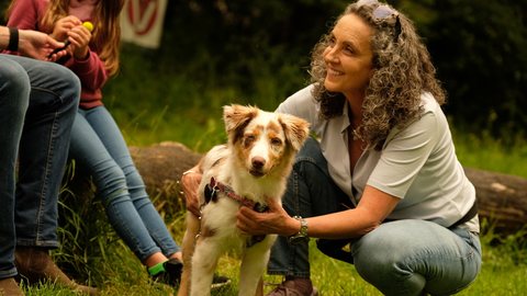 Tierärztin Astrid Schubert beim gewaltfreien Training in ihrer Hundeschule.