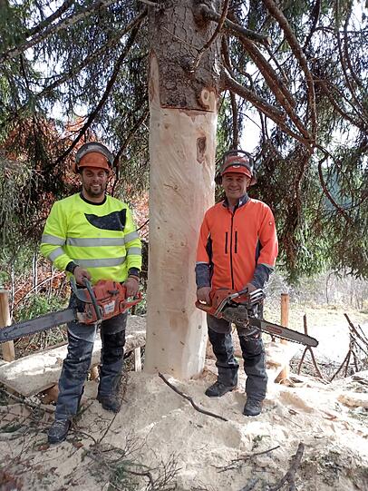 Der Ellmauer Andreas Hörhager (rechts) mit einem Mitarbeiter, hier kurz vor der Fällung des neuen Münchner Christbaums am Montag. Der Ellmauer Andreas Hörhager (rechts) mit einem Mitarbeiter, hier kurz vor der Fällung des neuen Münchner Christbaums am Montag.
