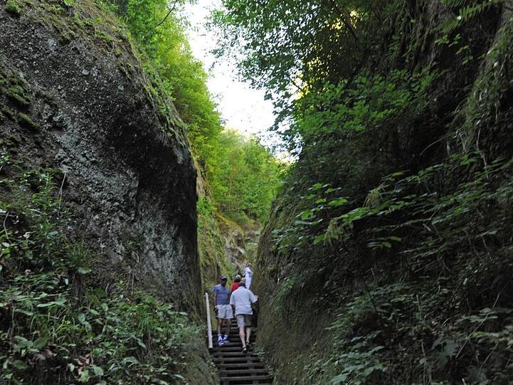 Wanderer gehen durch die Marienschlucht. Foto: picture alliance / dpa / Archivbild