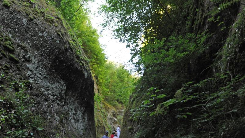 Wanderer gehen durch die Marienschlucht. Foto: picture alliance / dpa / Archivbild Wanderer gehen durch die Marienschlucht. Foto: picture alliance / dpa / Archivbild