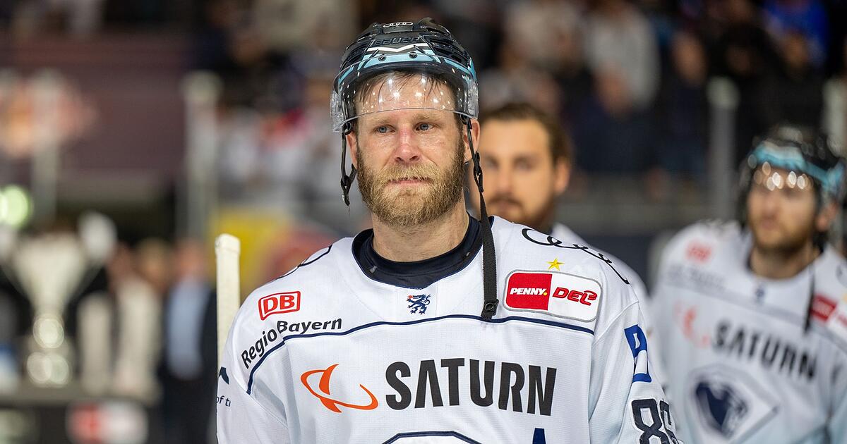 24-DEL-Saison-mit-39-Jahren-Pietta-verl-ngert-in-Ingolstadt