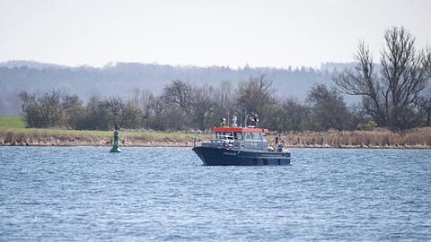 Es ist laut Experten nicht m&ouml;glich, den Wal zu t&ouml;ten.