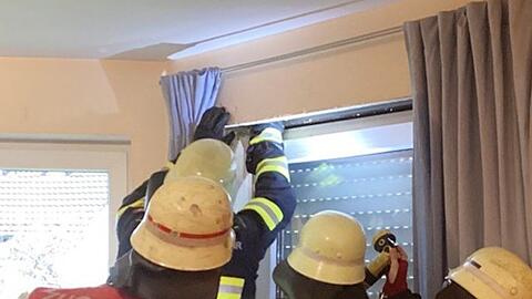 Am frühen Samstagabend muss die Feuerwehr einen brennenden Rollokasten in Pasing löschen, weil der Bewohner ein Wespennest ausräuchern wollte.
