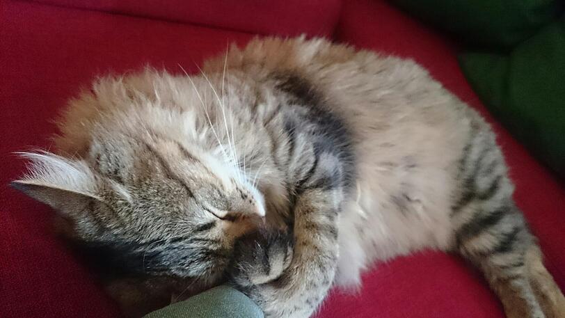 Lukki