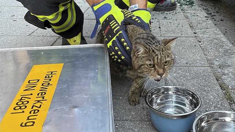 Foto Feuerwehr M&uuml;nchen